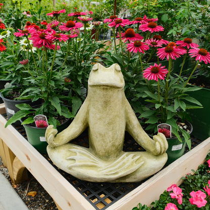 Totally Zen Frog