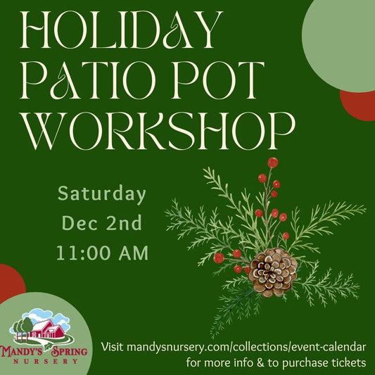 Make your Own Holiday Greens Patio Pot - Saturday Dec 2 @ 11:00am