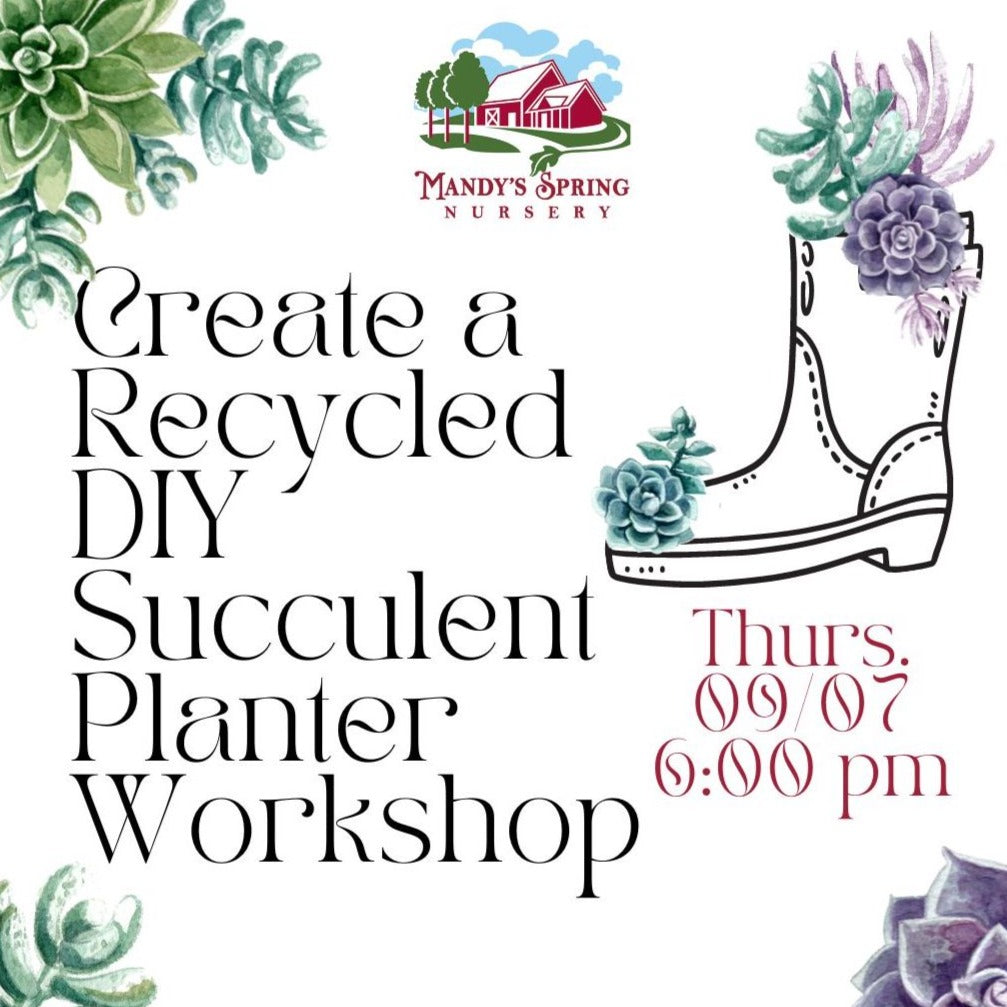 Create a Recycled, DIY Succulent Planter Workshop - Thursday, Sept 7 @ 6:00pm