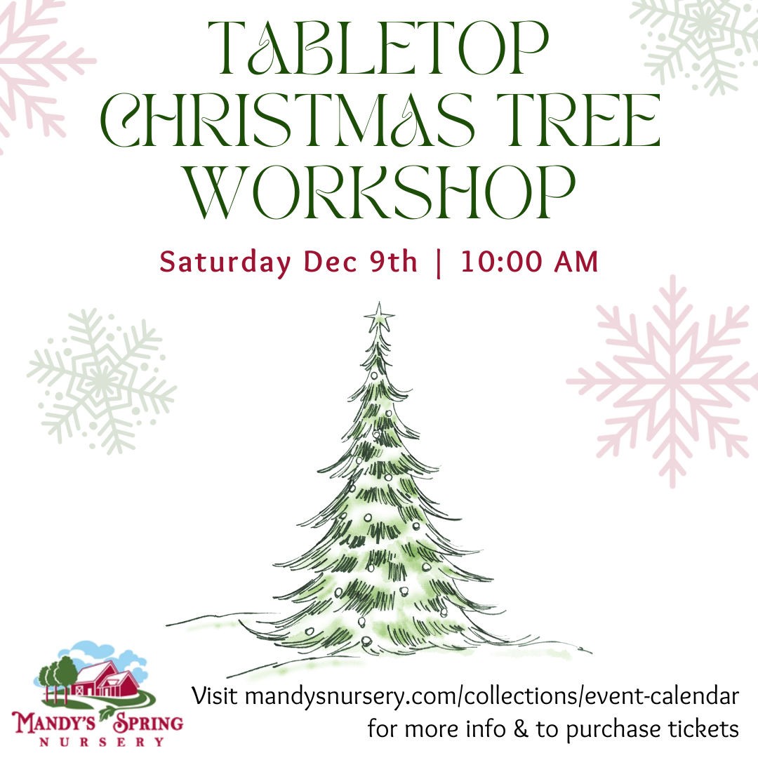 Make Your Own Tabletop Christmas Tree - Saturday, Dec 9 @ 10:00am