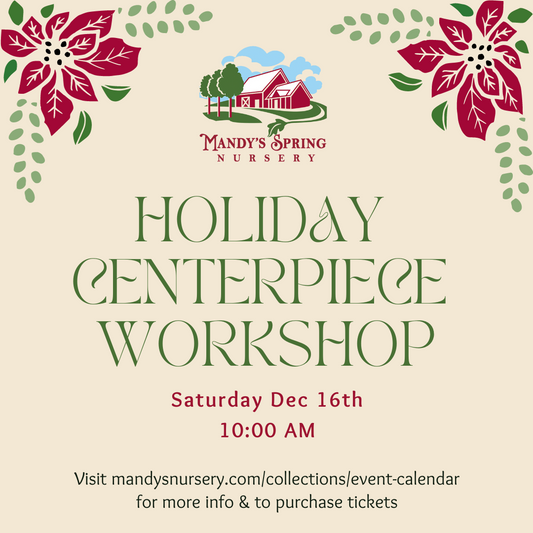 Make Your Own Holiday Centerpiece - Saturday, Dec 16 @ 10:00am