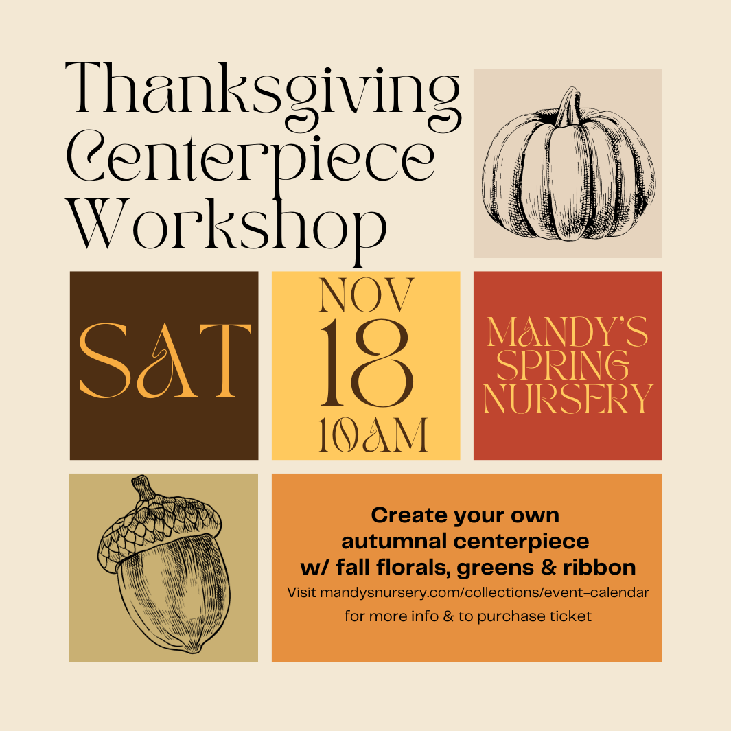Make Your Own Thanksgiving Centerpiece - Saturday, Nov 18 @ 10:00am