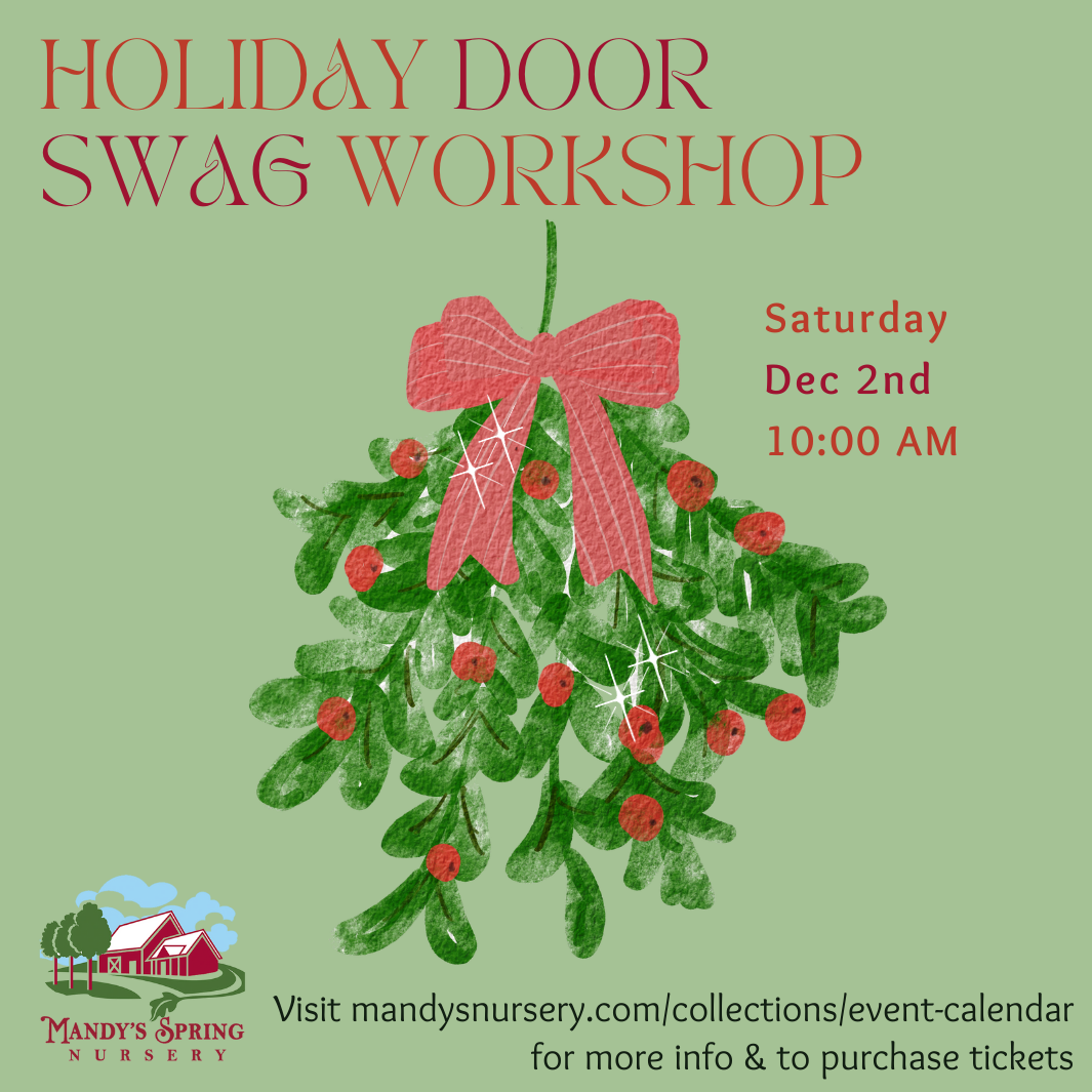 Make Your Own Holiday Door Swag - Saturday, Dec 2 @ 10:00am