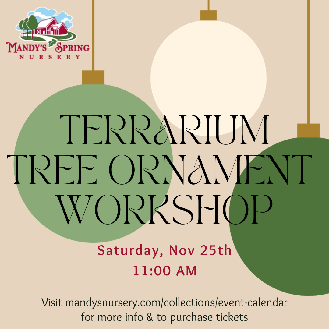 Make Your Own Terrarium Tree Ornament - Saturday, Nov 25 @ 11:00am