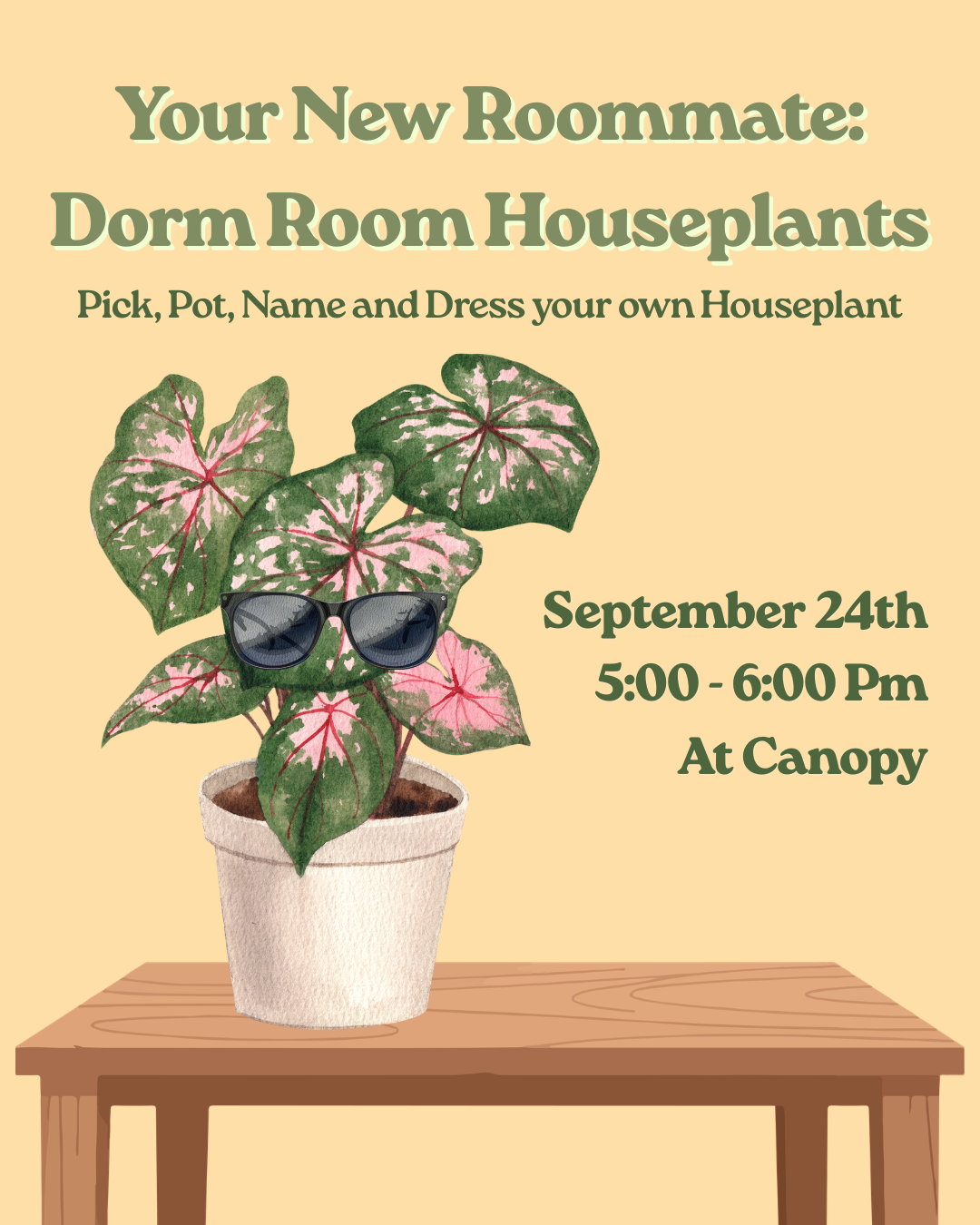 Meet Your New Roommate: Dorm Room Houseplants September 24th from 5-6 PM