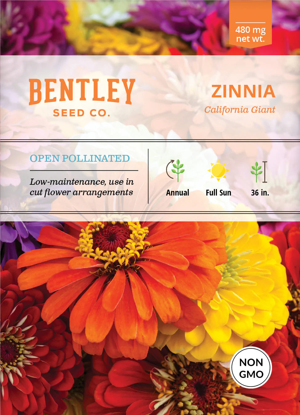 Zinnia California Giant ( NON GMO)