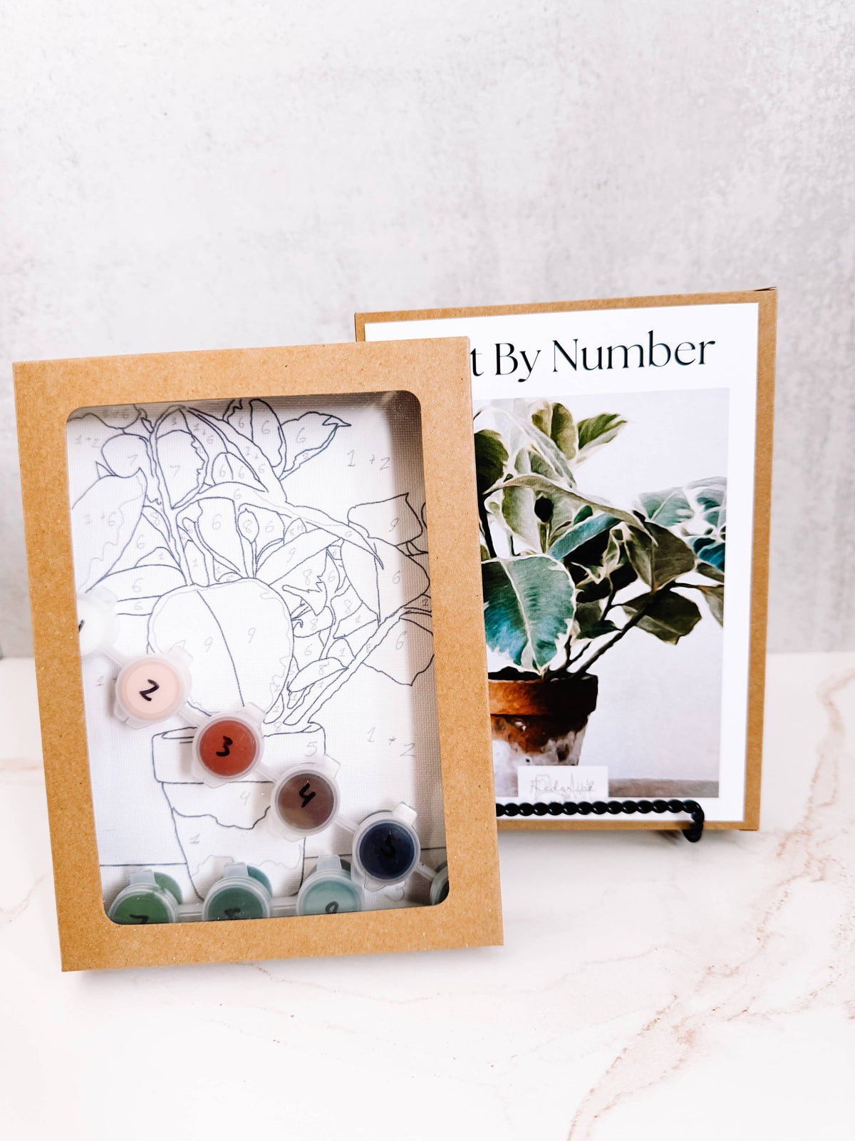 Plant Still Life Mini Paint By Number