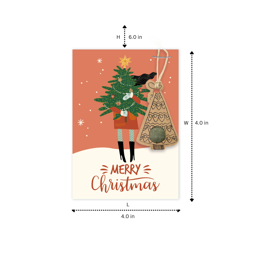 Assorted Ornament Card | Seed Bomb Cards | Holiday Gift