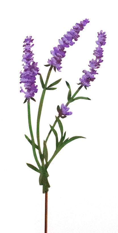 Lavender Pick -Painted