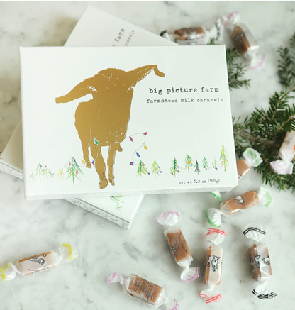 Golden Holiday Caramel Gift Box | 20pc | Christmas