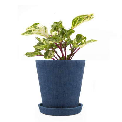 Mick Planter Pots With Drainage Holes Bulk SALE SALE