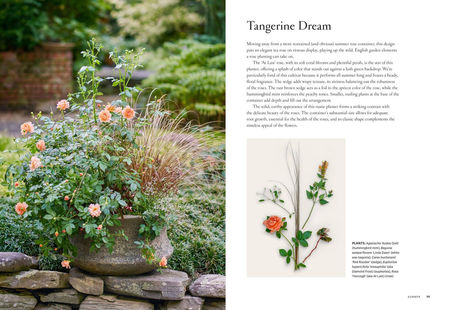 Terrain: The Container Garden Book
