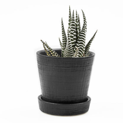 Mick Planter Pots With Drainage Holes Bulk SALE SALE