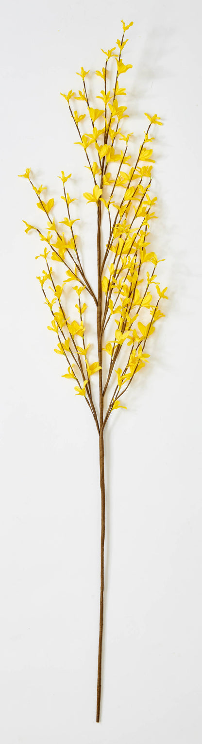 57" Forsythia Stem