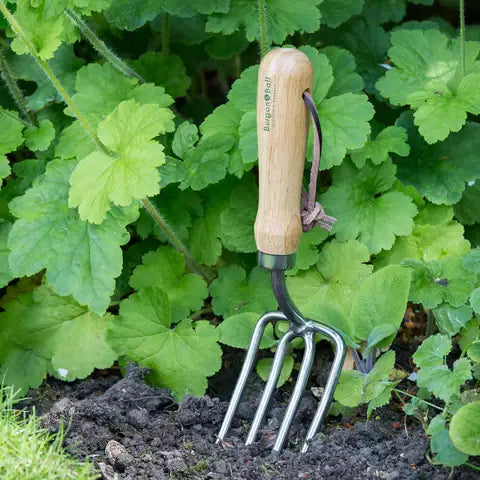 RHS Stainless Rd. Tined Fork