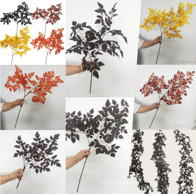 Plum Fake Cimicifuga Ramosa Leaves Branches