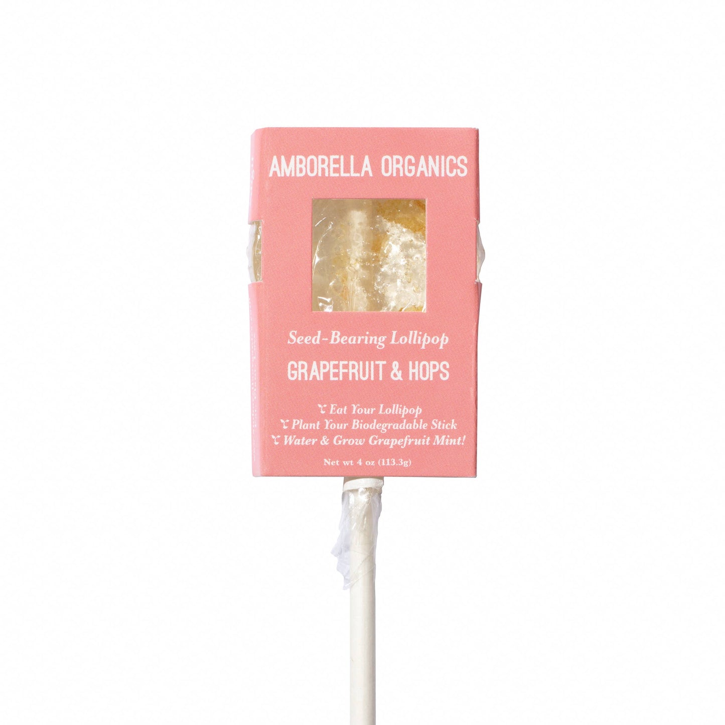 Blooming Lollipop (Eat, Plant & Grow an Herb/Flower)