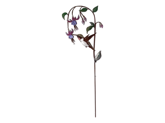 Hummingbird on Fuchsia Pick -Painted