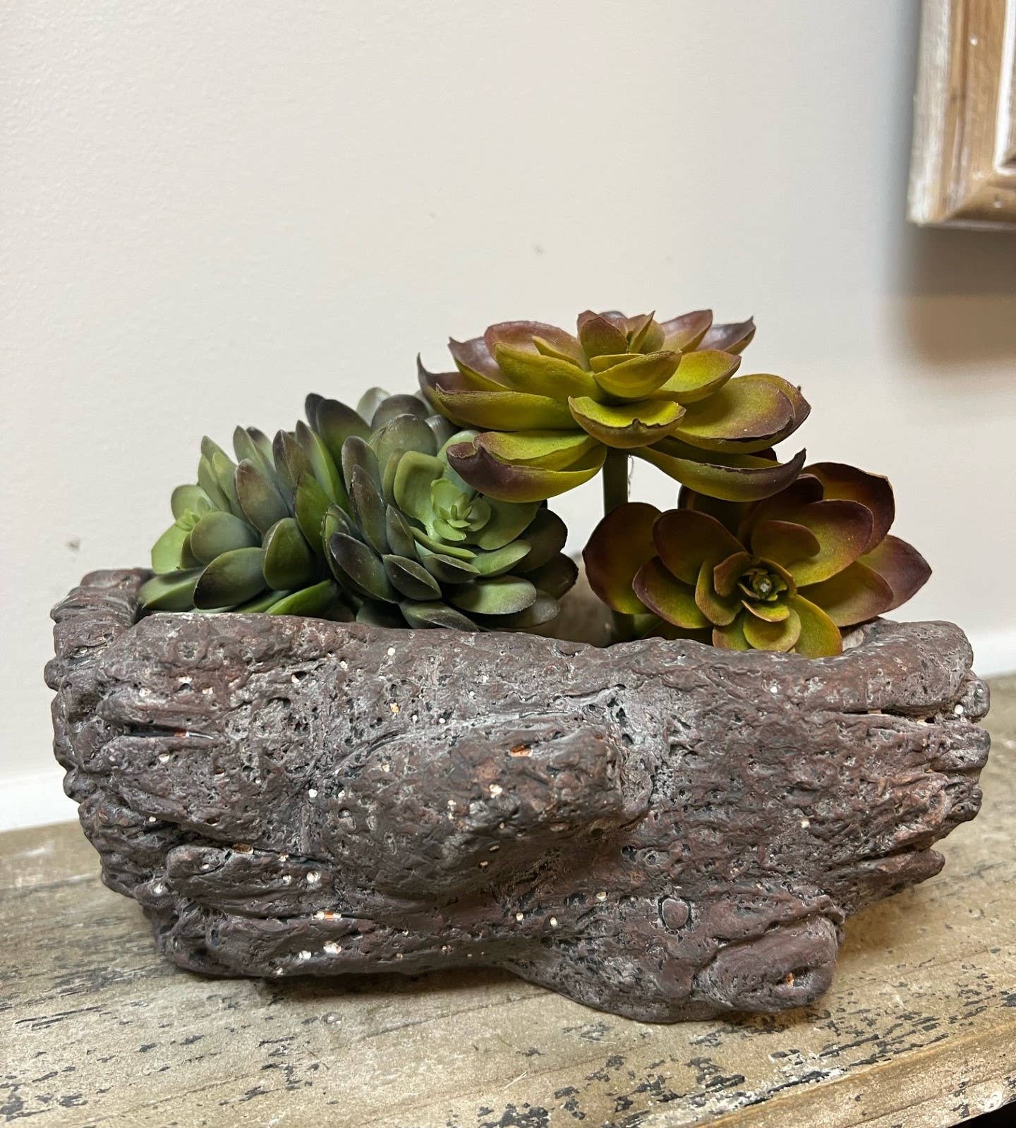 Cement Burled Bark Planter - Small