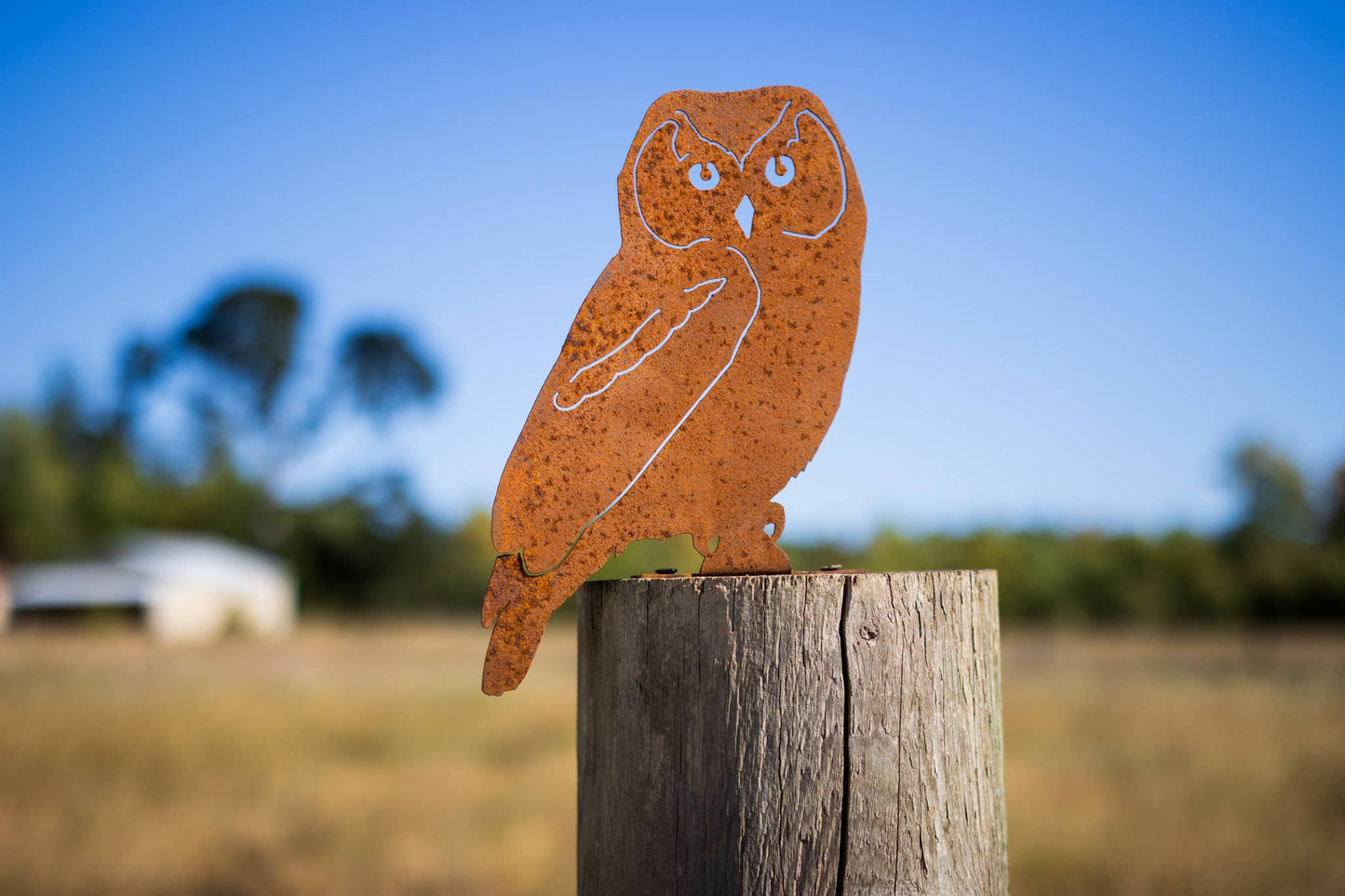 Owl Tab