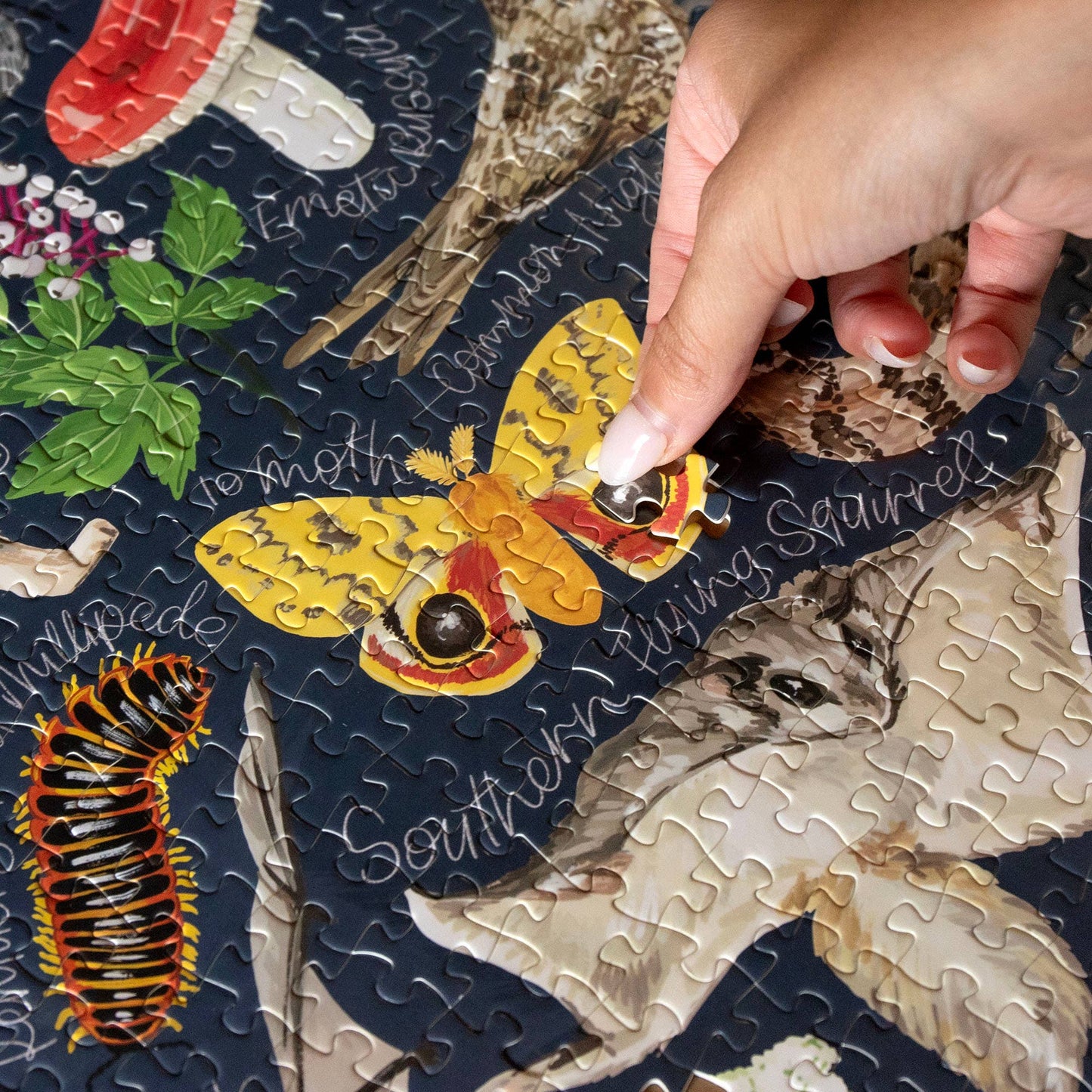 Midnight Flora & Fauna - 1000 Piece Jigsaw Puzzle