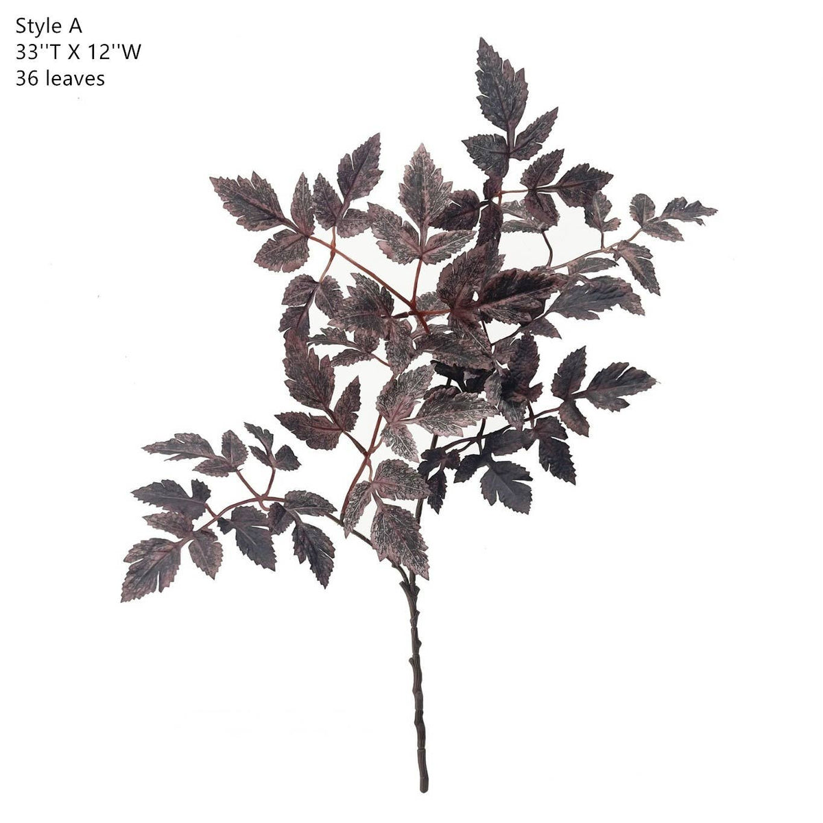 Plum Fake Cimicifuga Ramosa Leaves Branches