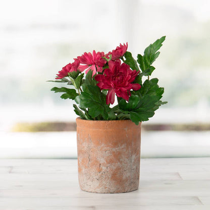 Red Cement Cylinder Pot