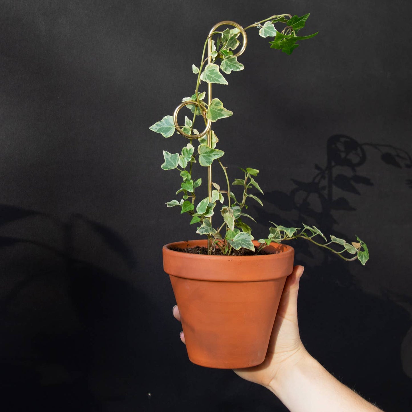 Perch Gold Mini Plant Stake from rust-proof metal