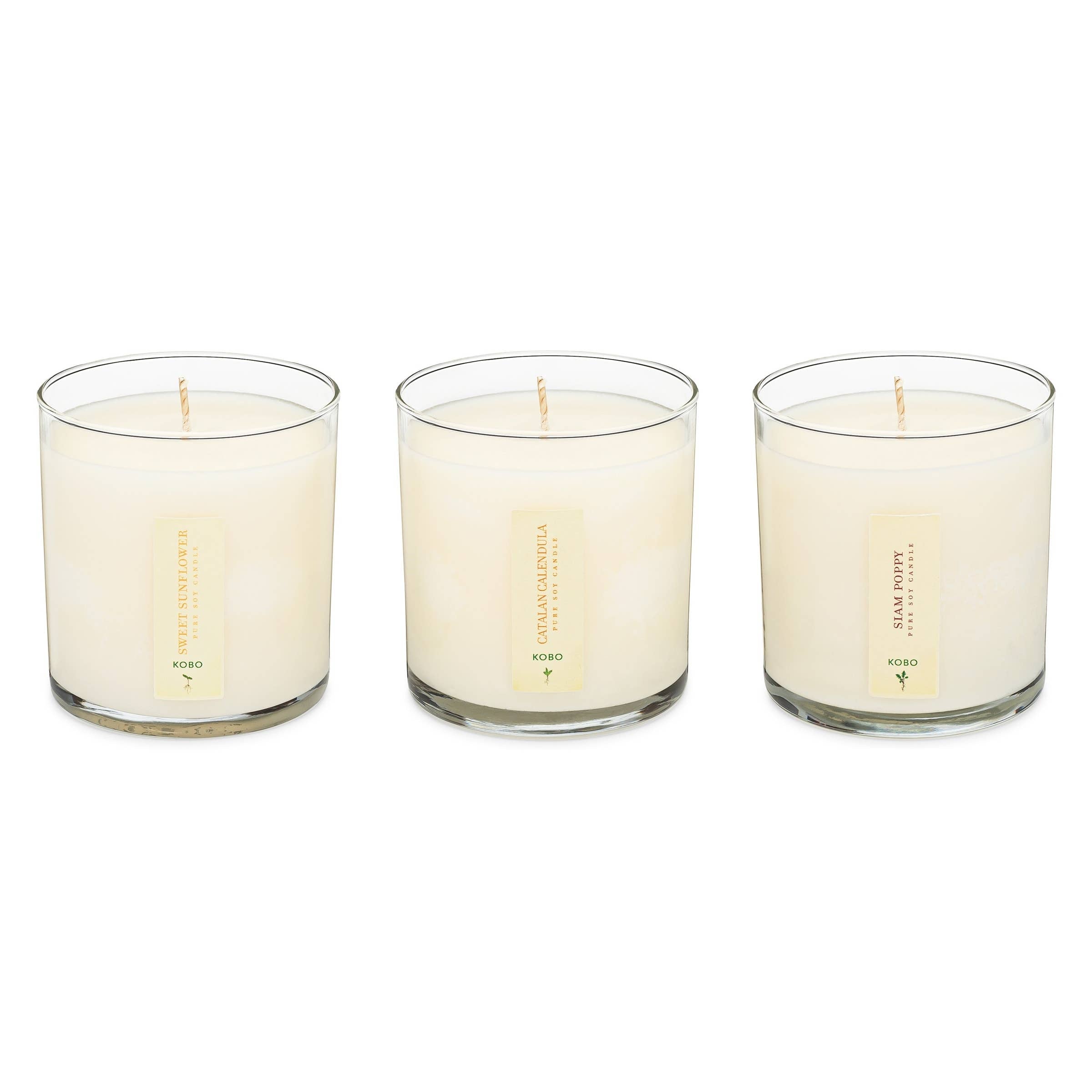 Mandy Spring Farm Nursery Plant the Box Votive Candle - Thumbnail 3