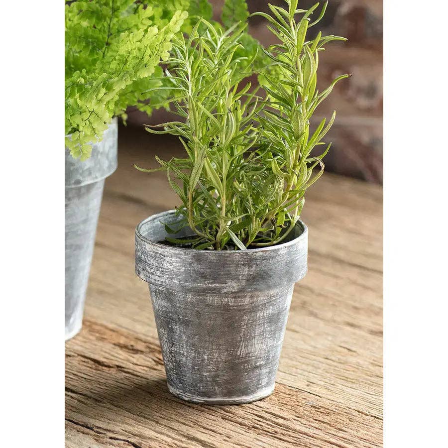 Zinc Flower Pot