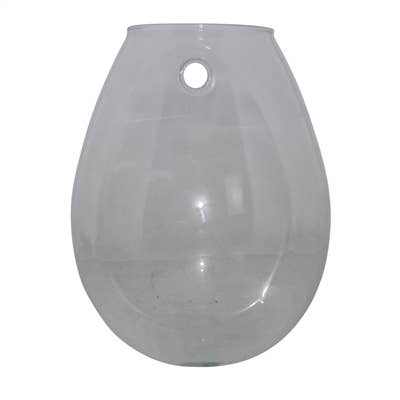 Sole Wall Terrarium, Glass - Lrg