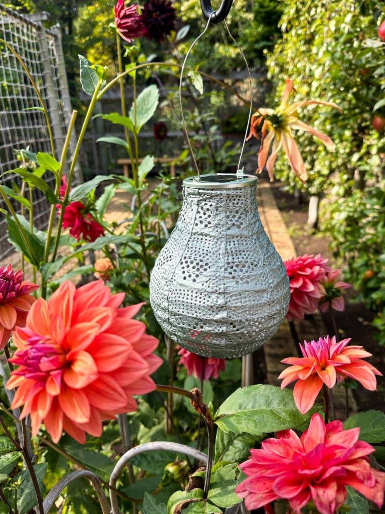 Stella BulbSolar Lantern - Sage