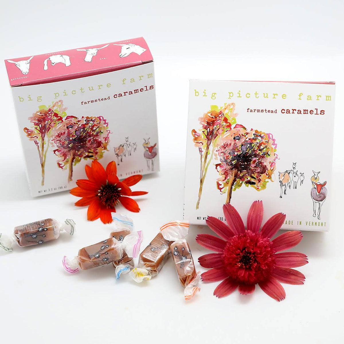 Fall Foliage Caramel Box | Vermont | 8 Flavors 