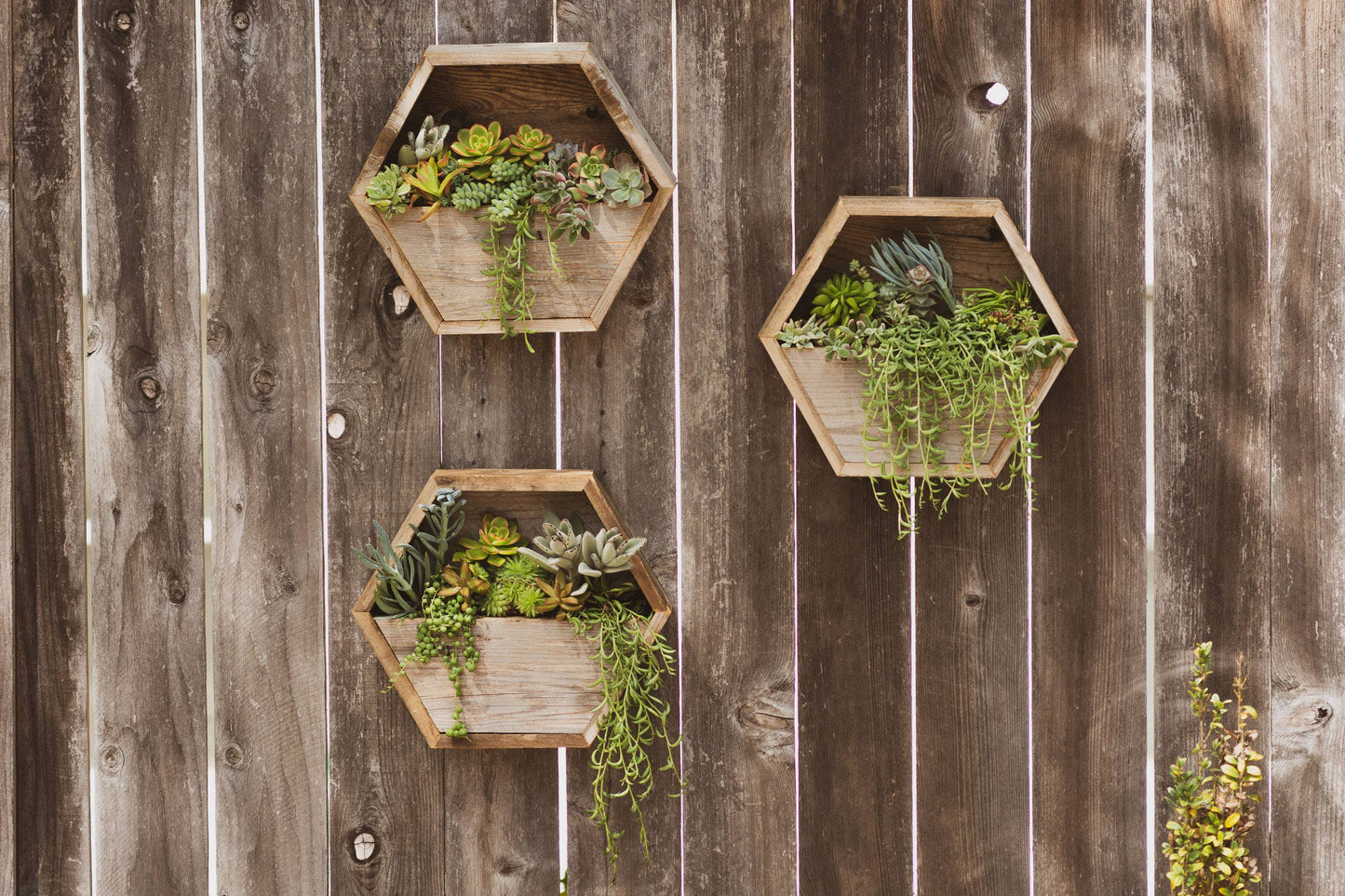 Reclaimed Wood Hexagon Planter / Geometric Wall Planter