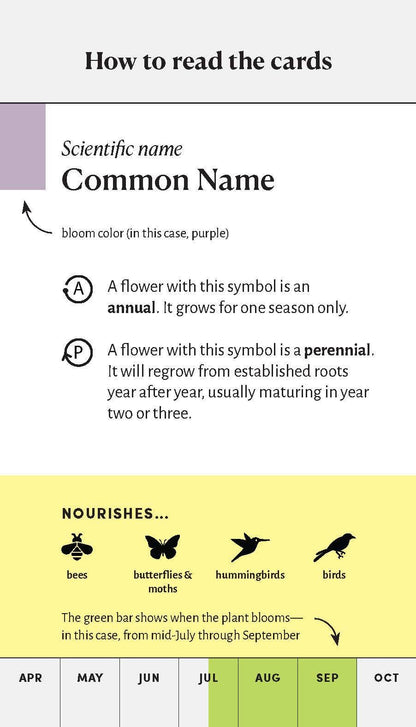 Pollinator Garden Planning Deck