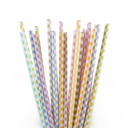Checkered Reusable Straws - 24 Pack