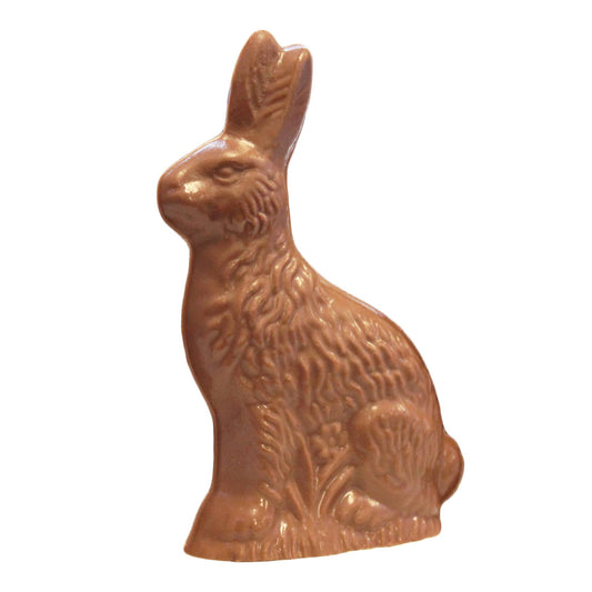 5.4 oz Solid Chocolate Bunny