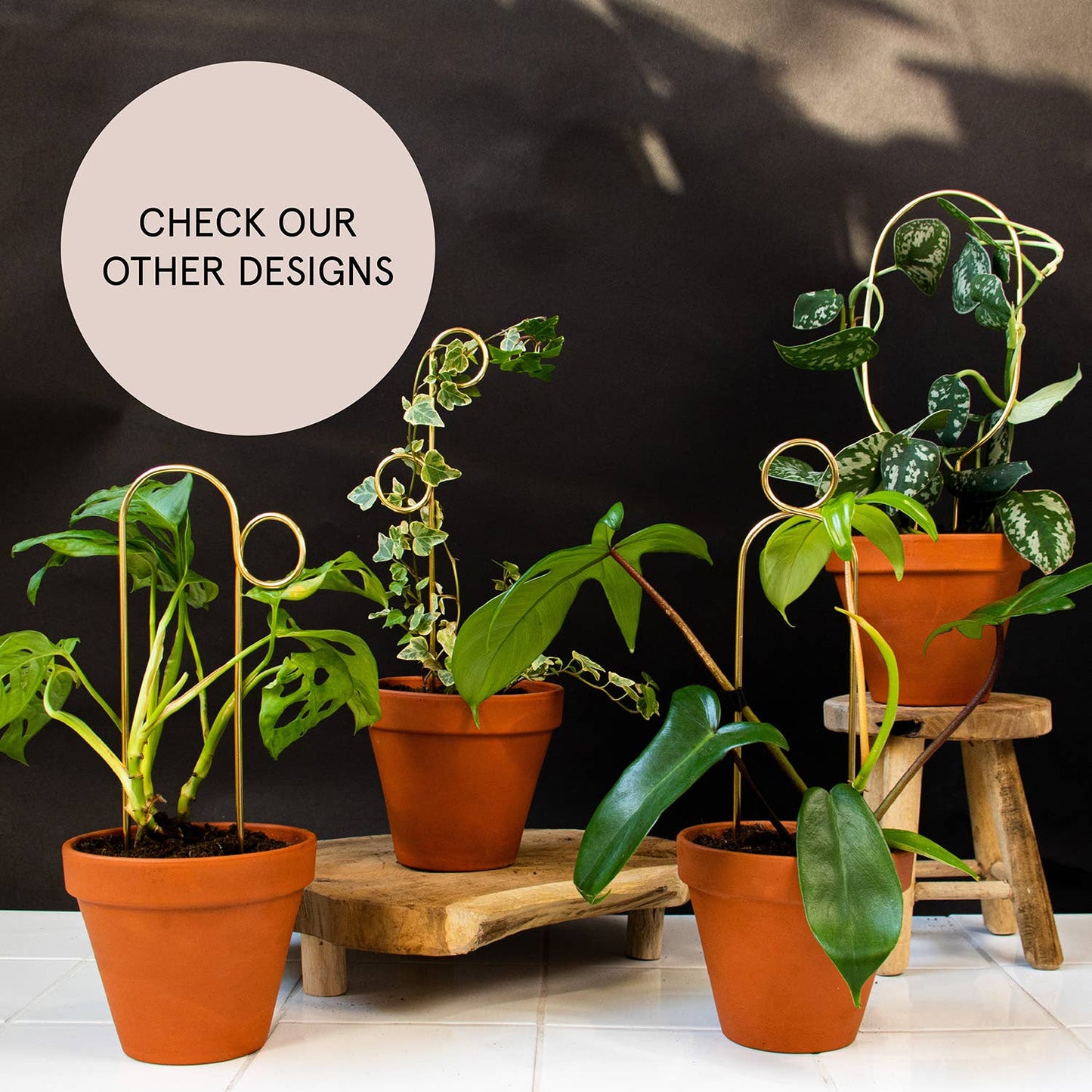Perch Gold Mini Plant Stake from rust-proof metal