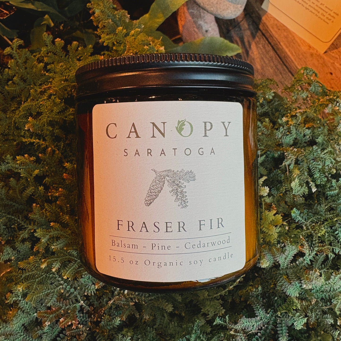 Canopy Candle - Fraser Fir