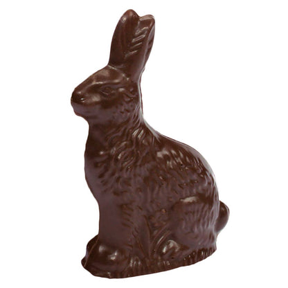 5.4 oz Solid Chocolate Bunny