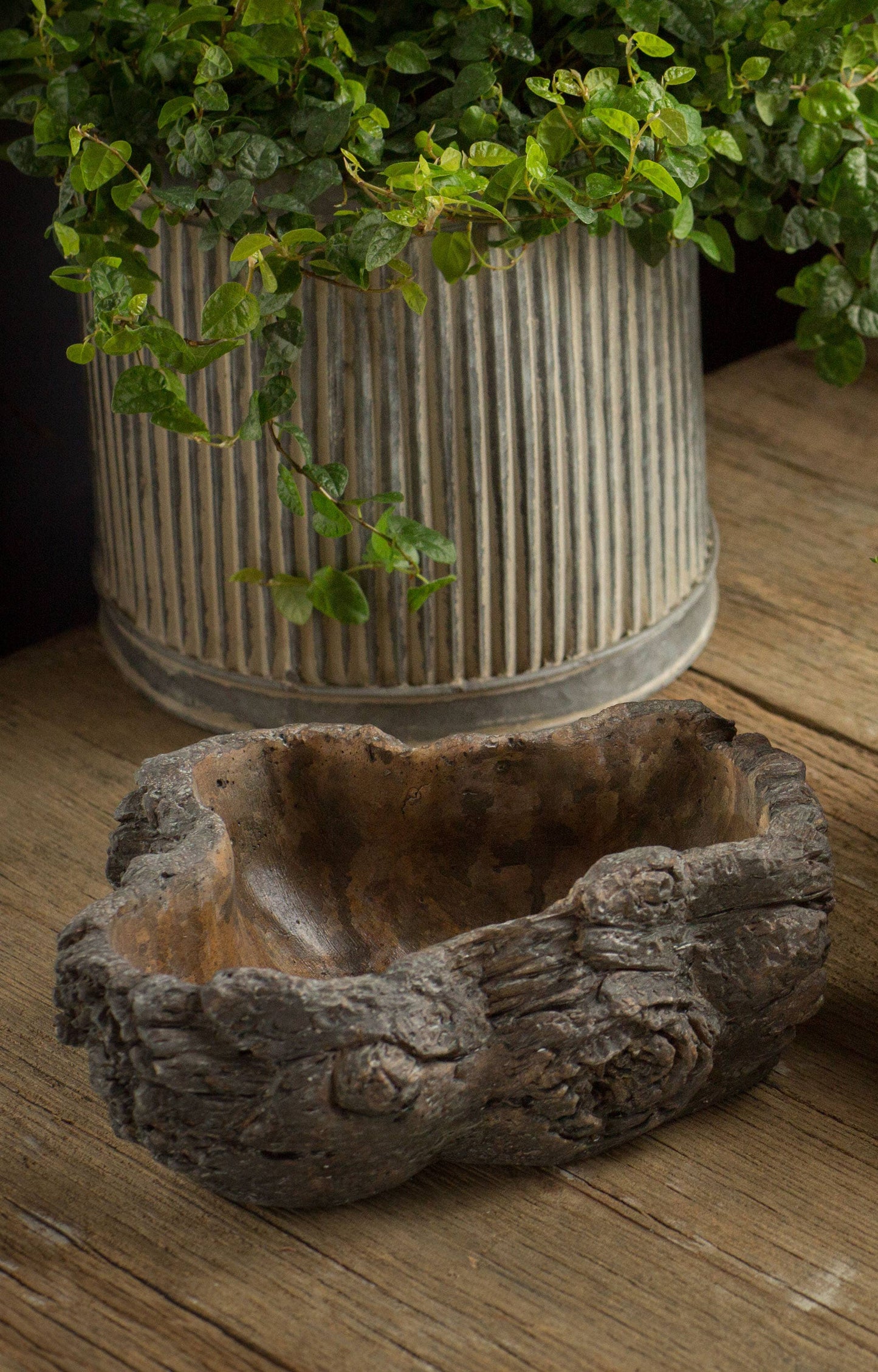 Cement Burled Bark Planter - Small