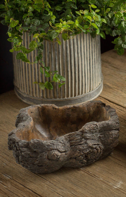 Cement Burled Bark Planter - Small