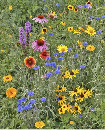 Scatter Garden | Songbird | Bird Lovers | Best Seller