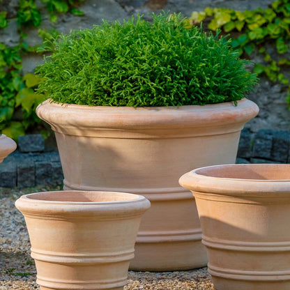 Classic Double Rolled Rim