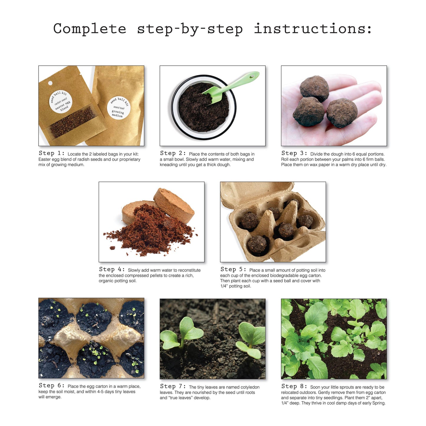 Seed Ball Kit - DIY Easter Egg Radish Seed Blend