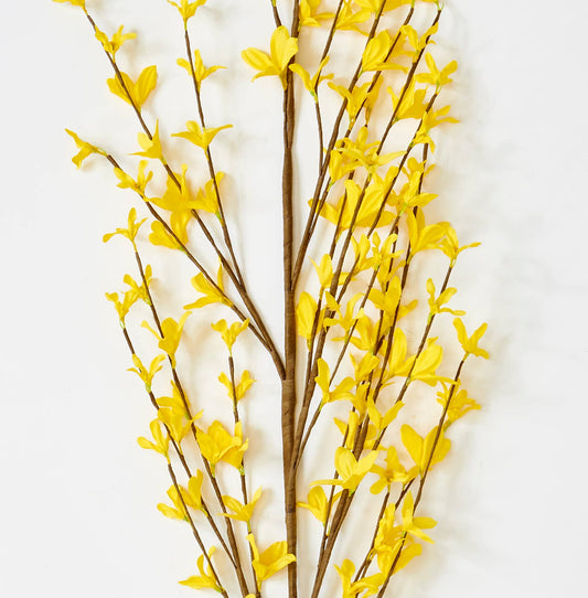 57" Forsythia Stem