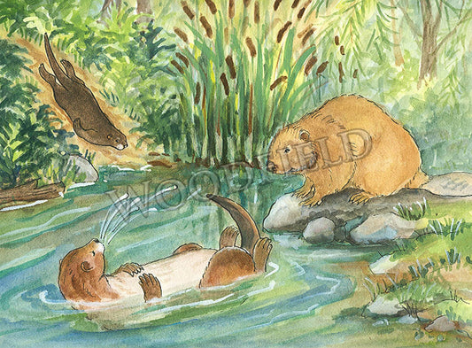 #310 - Swimming Hole Notecard