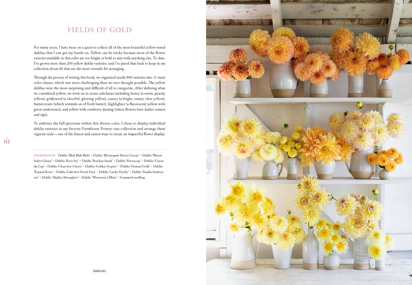 Floret Farm's Discovering Dahlias