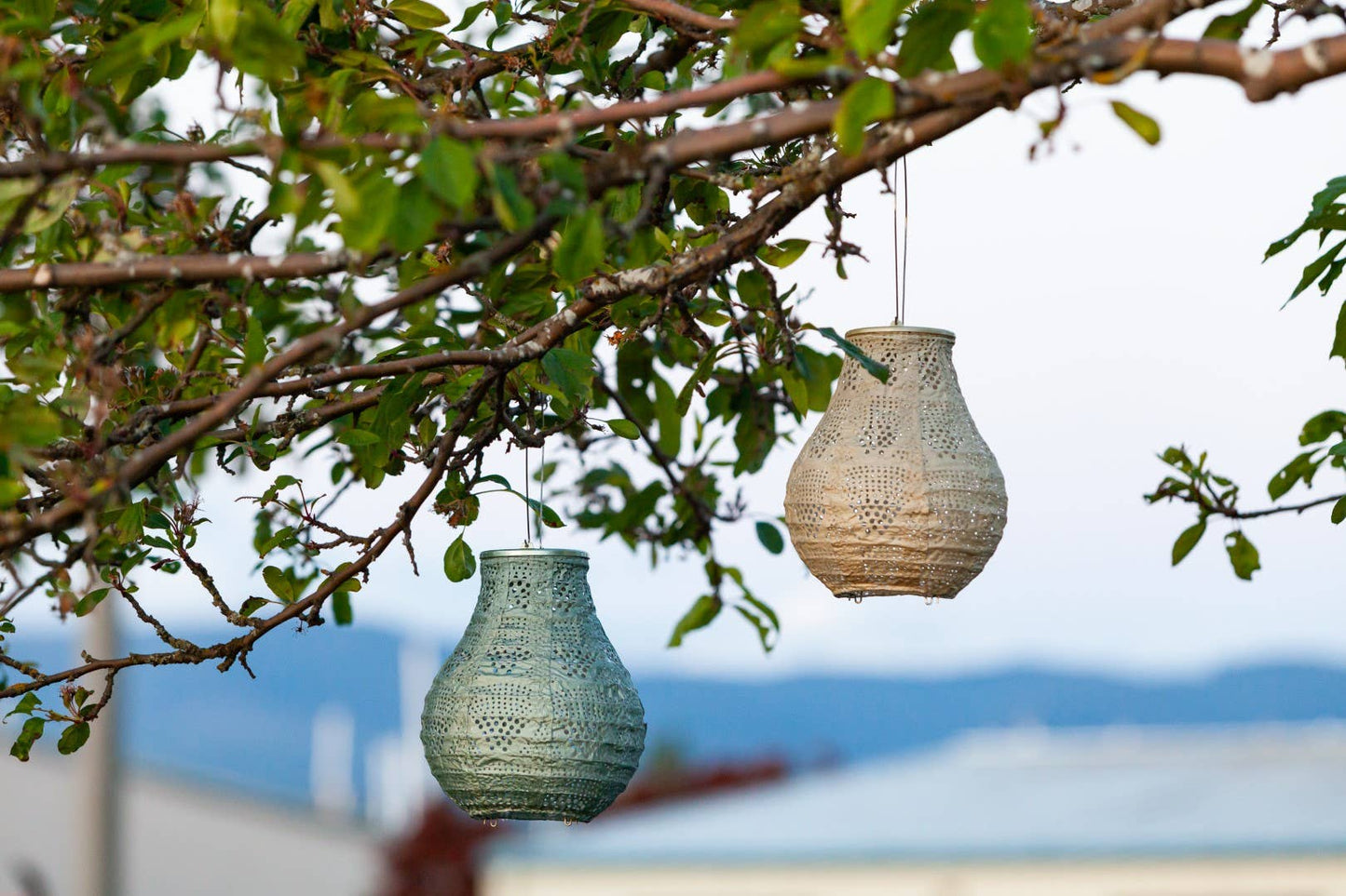 Stella BulbSolar Lantern - Sage