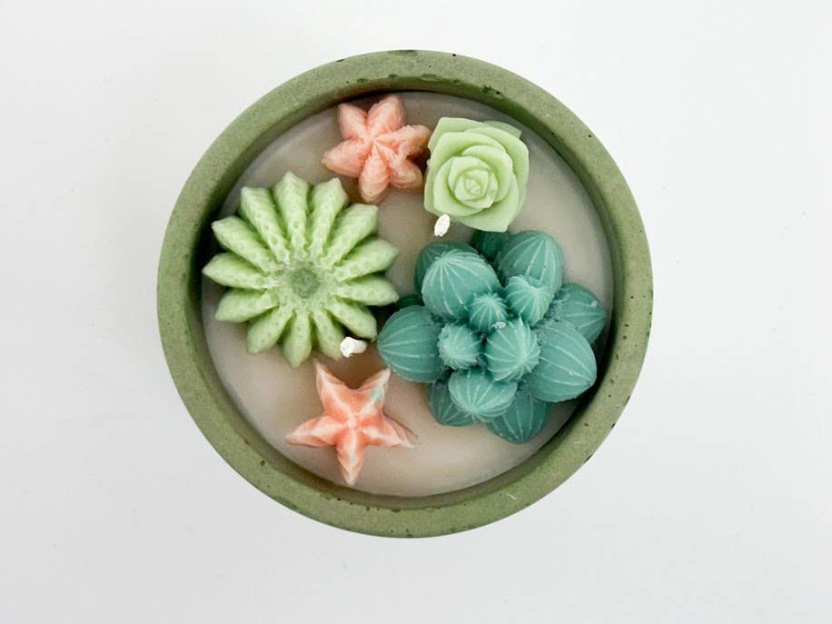 Christmas Succulent Candle - Holiday Nordic Pine & Wassail